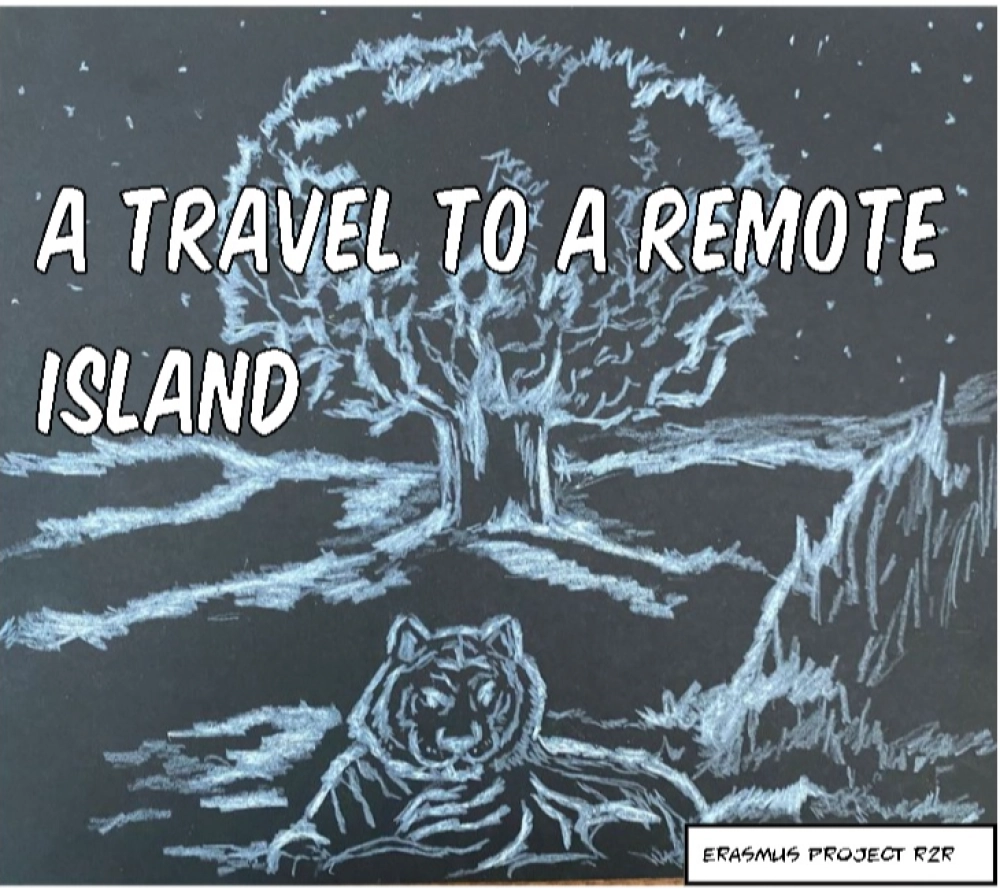 A travel to a remote island