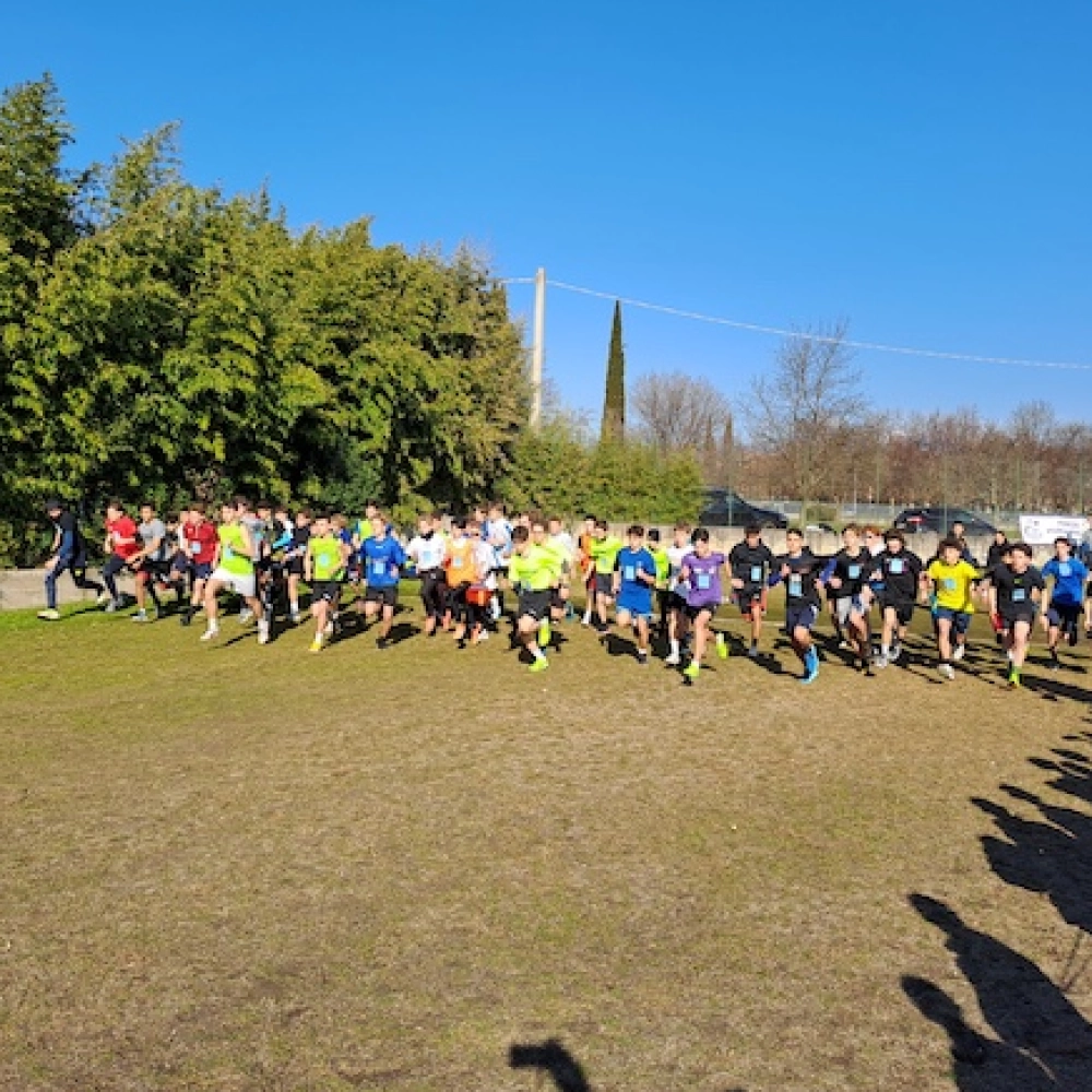 campestreProvinciale