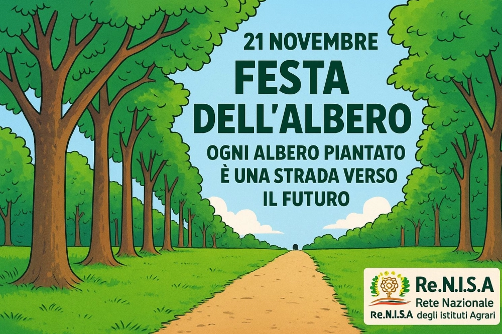 festa albero