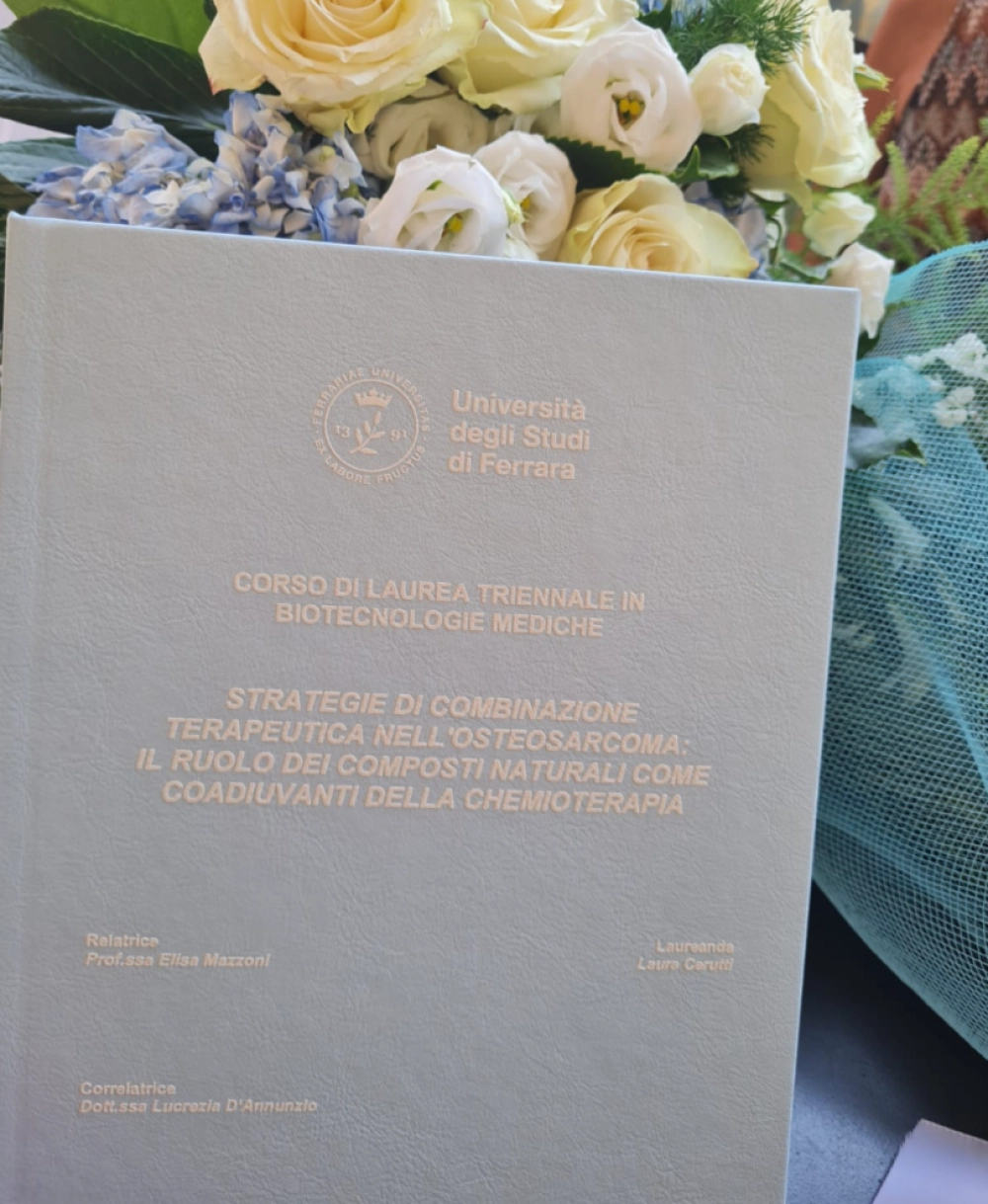 tesi Laura - Copertina