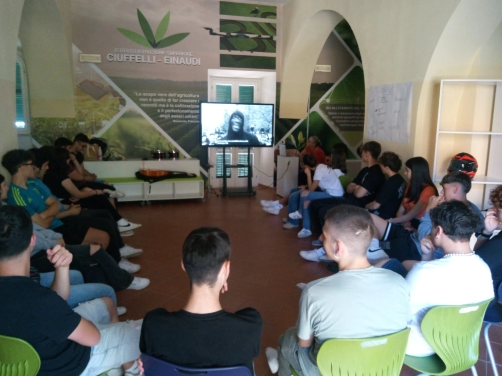 formazione con madrelingua