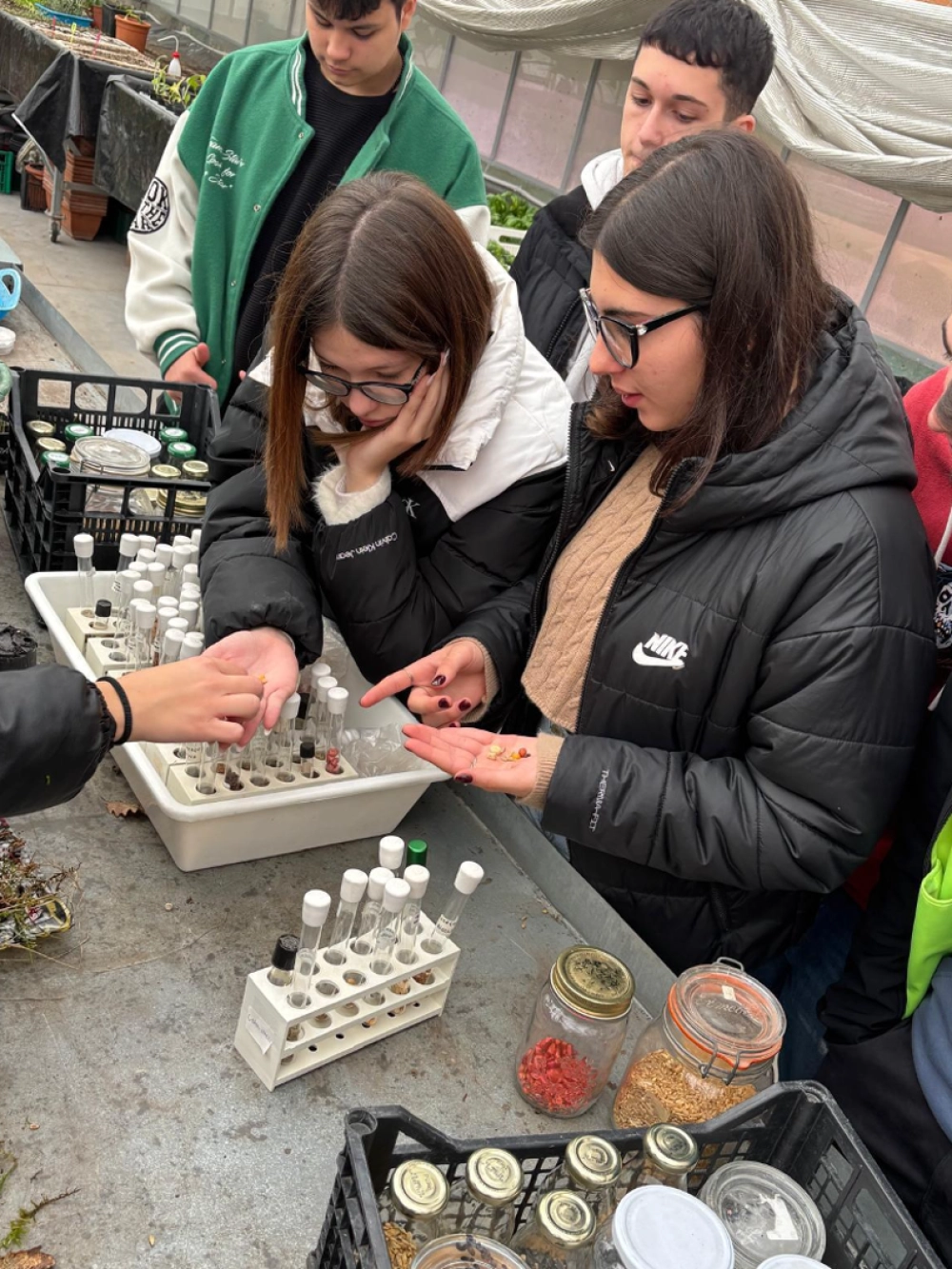 esperimenti di crescita e riconoscimento