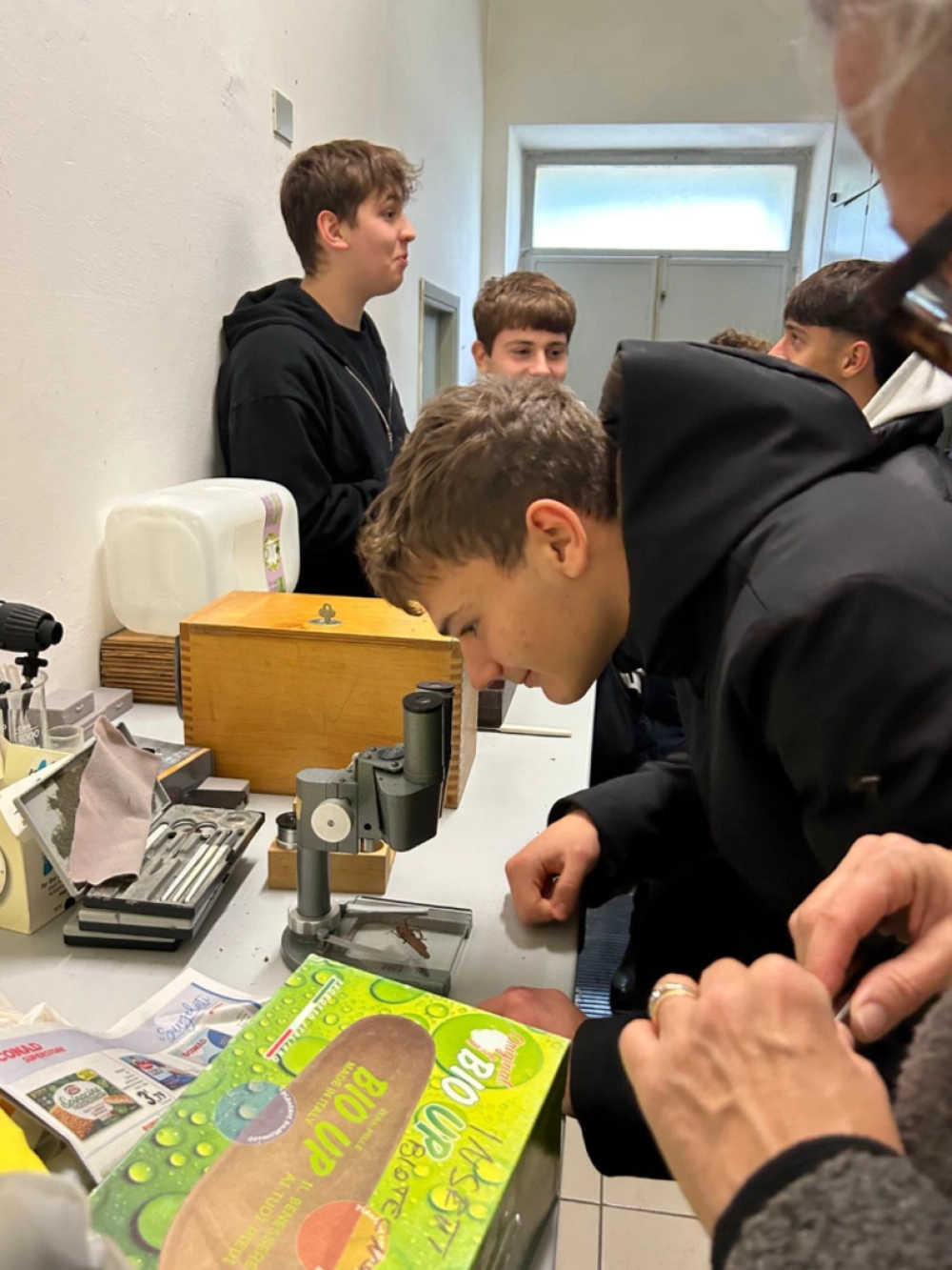 laboratorio entomologia