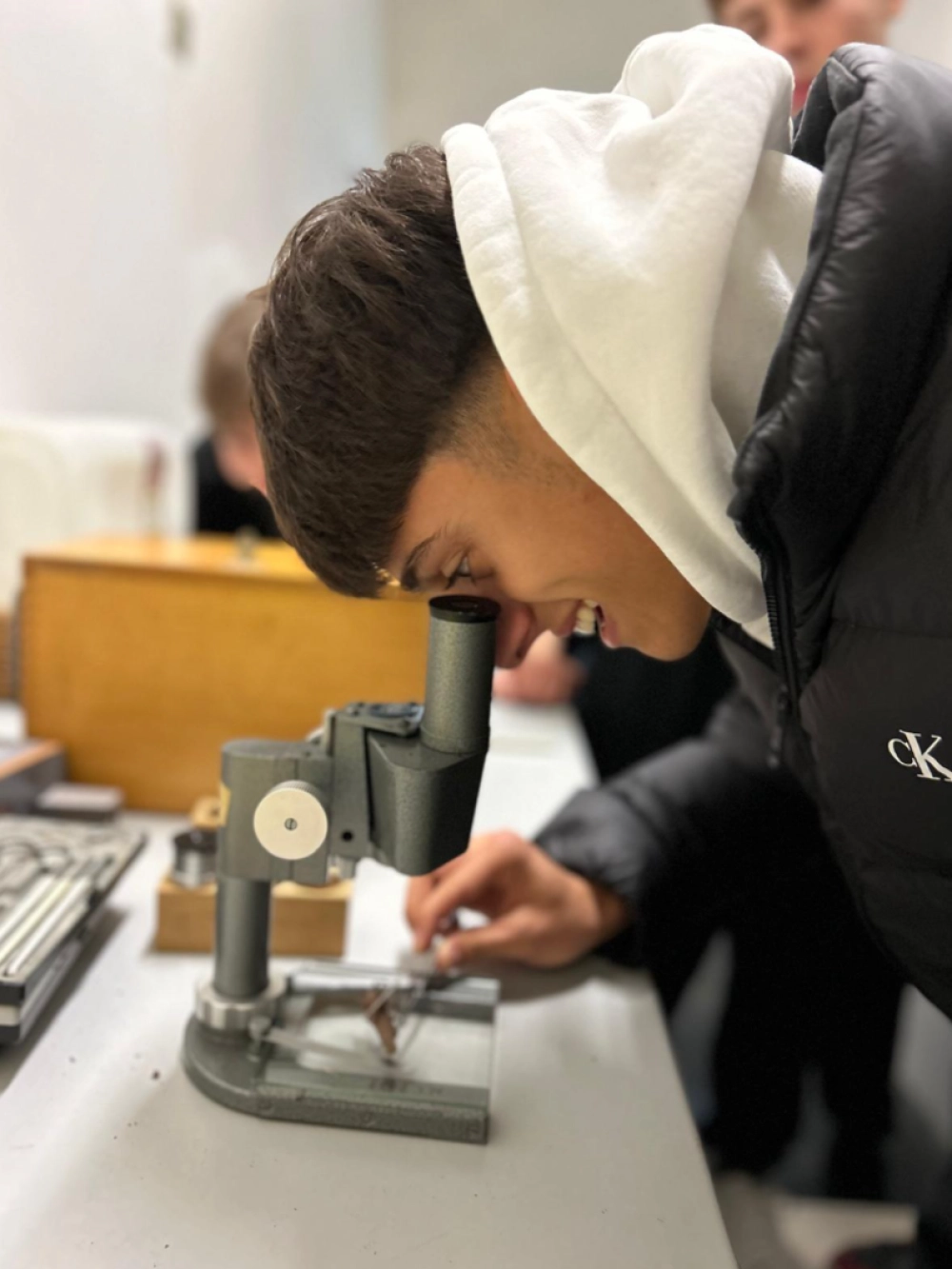 laboratorio entomologia