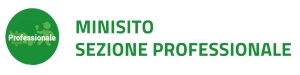 Minisito Professionale