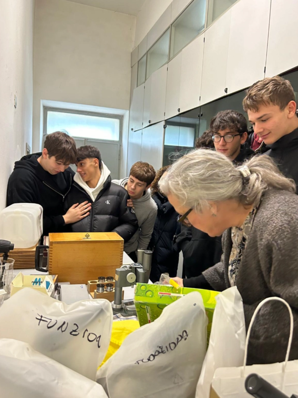 laboratorio entomologia